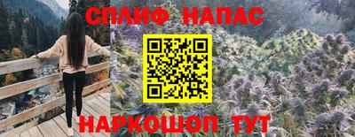 гидропоника Дубна