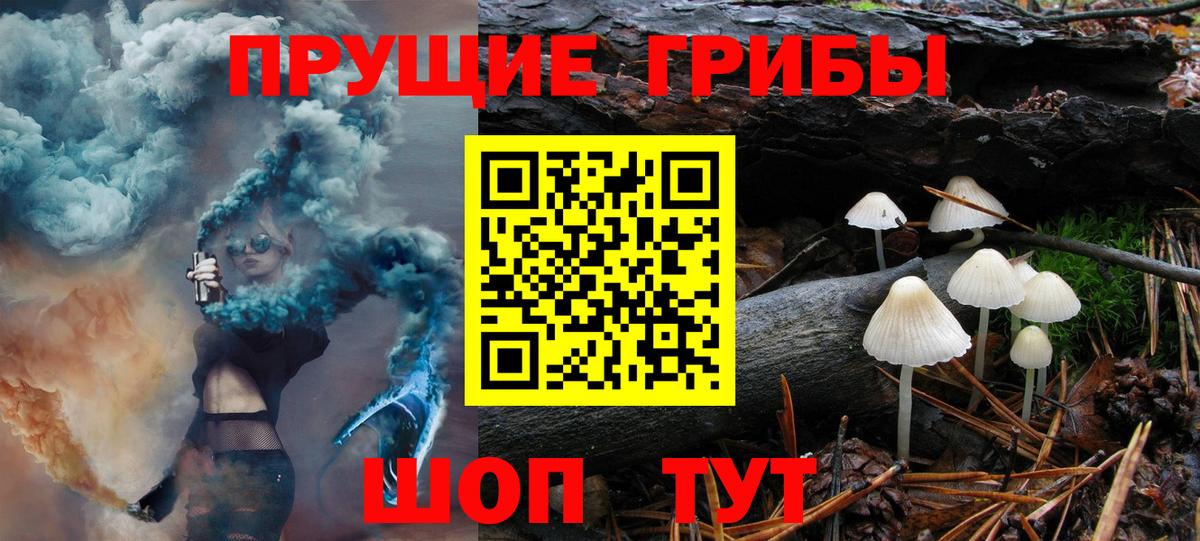 Галлюциногенные грибы ЛСД Можга