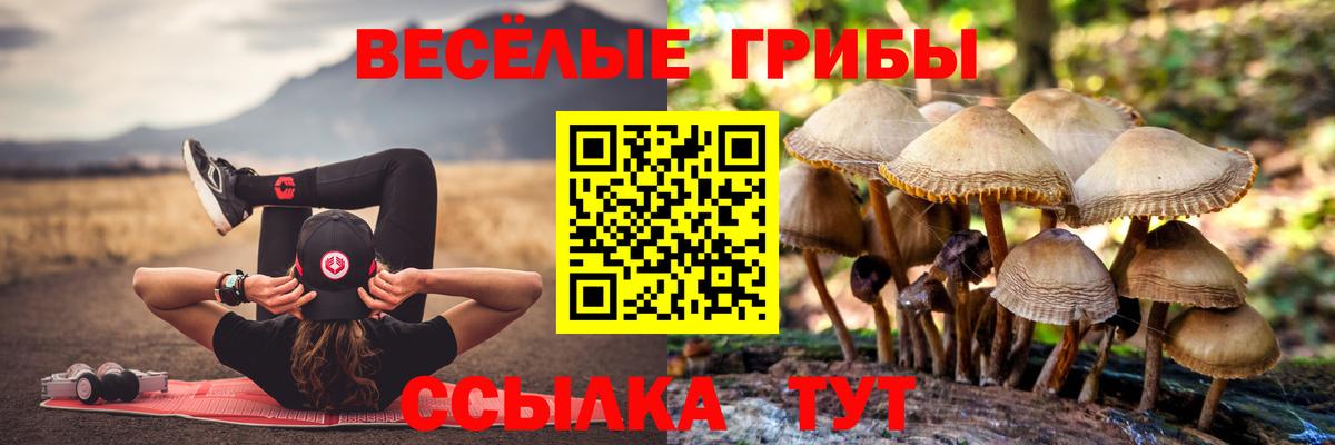 продажа наркотиков  Галлюциногенные грибы мицелий  Псилоцибиновые грибы мицелий  Вход с VPN  Можга 