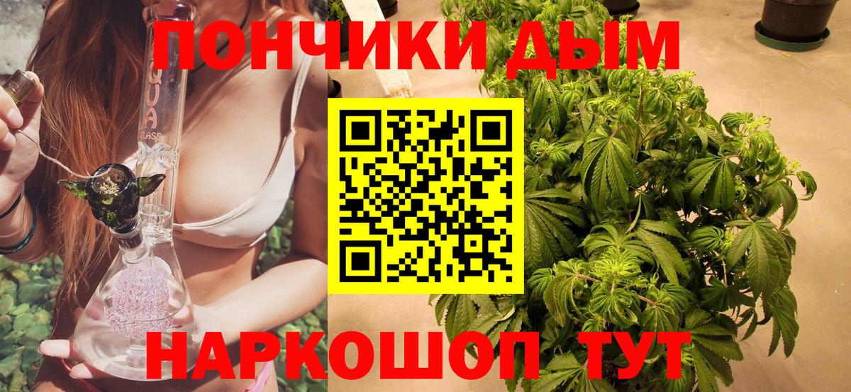 МАРИХУАНА план Можга